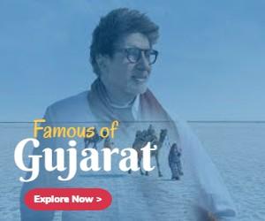 Famous of Gujarat