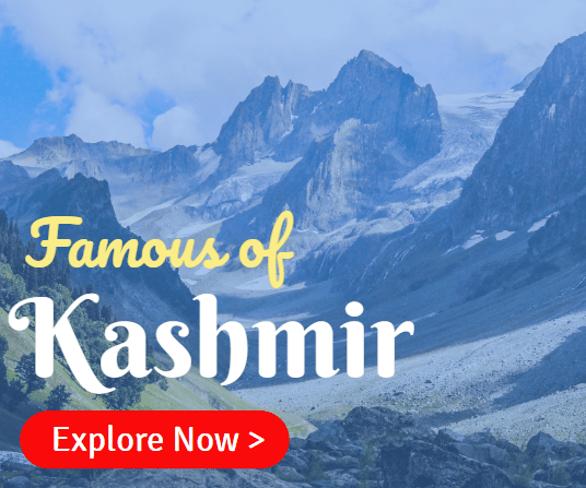 Famous of Kashmir